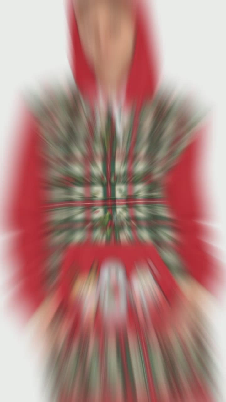 Christmas Pinguin Santa Claus Reindeer Hoodie Dress for Women, Holiday Winter Sweatshirt Tunic, Festive Christmas Party Outfit, Cute Xmas