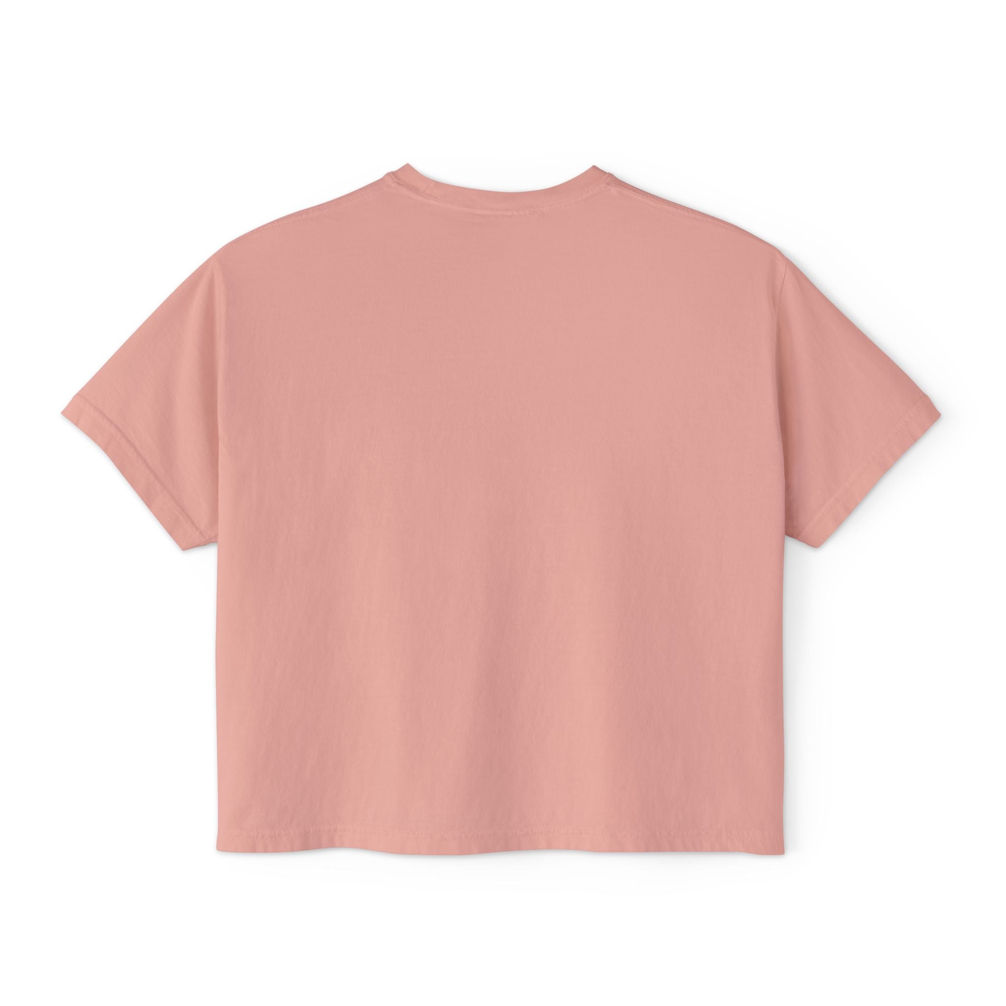 Kawaii Hedgehog Boxy Tee - Women's Graphic T-Shirt