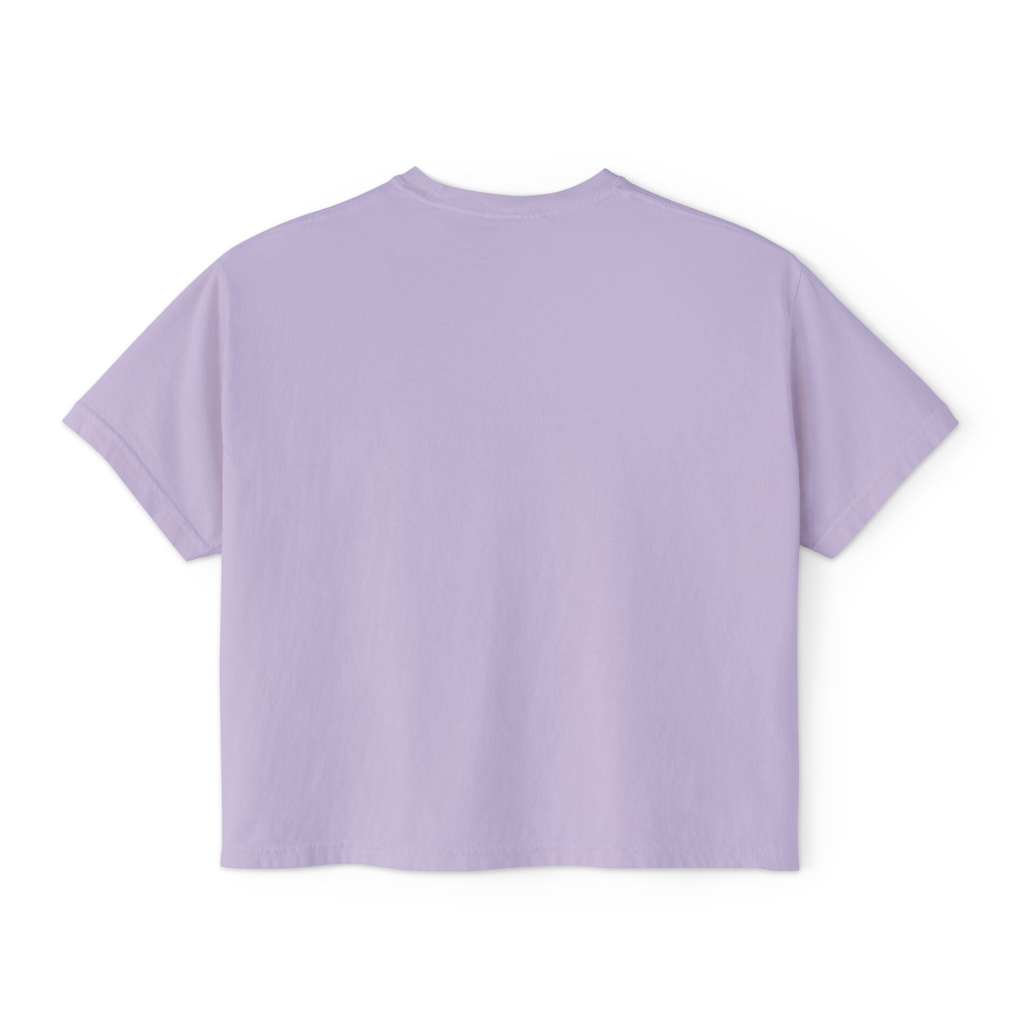 Kawaii Hedgehog Boxy Tee - Women's Graphic T-Shirt