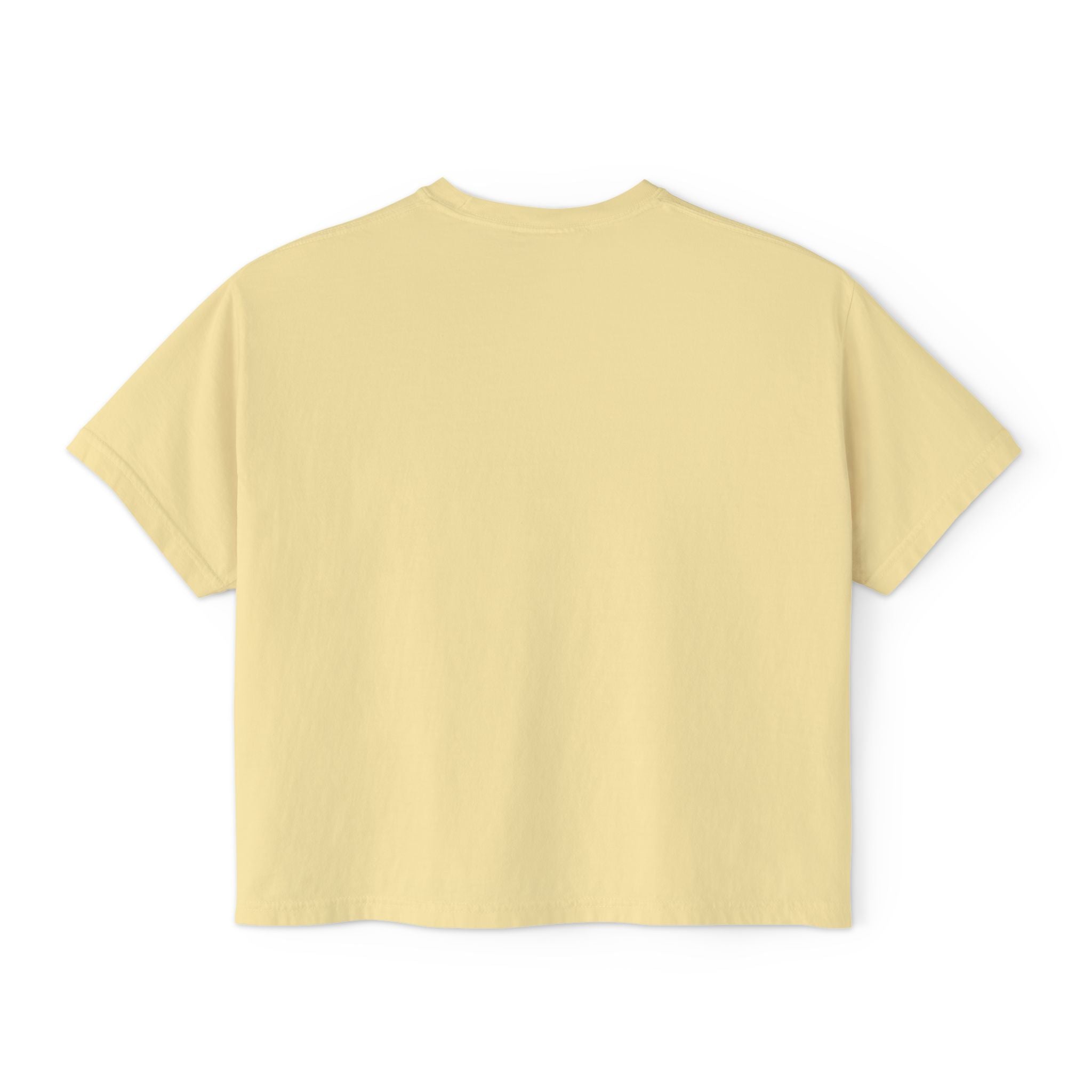Kawaii Hedgehog Boxy Tee - Women's Graphic T-Shirt