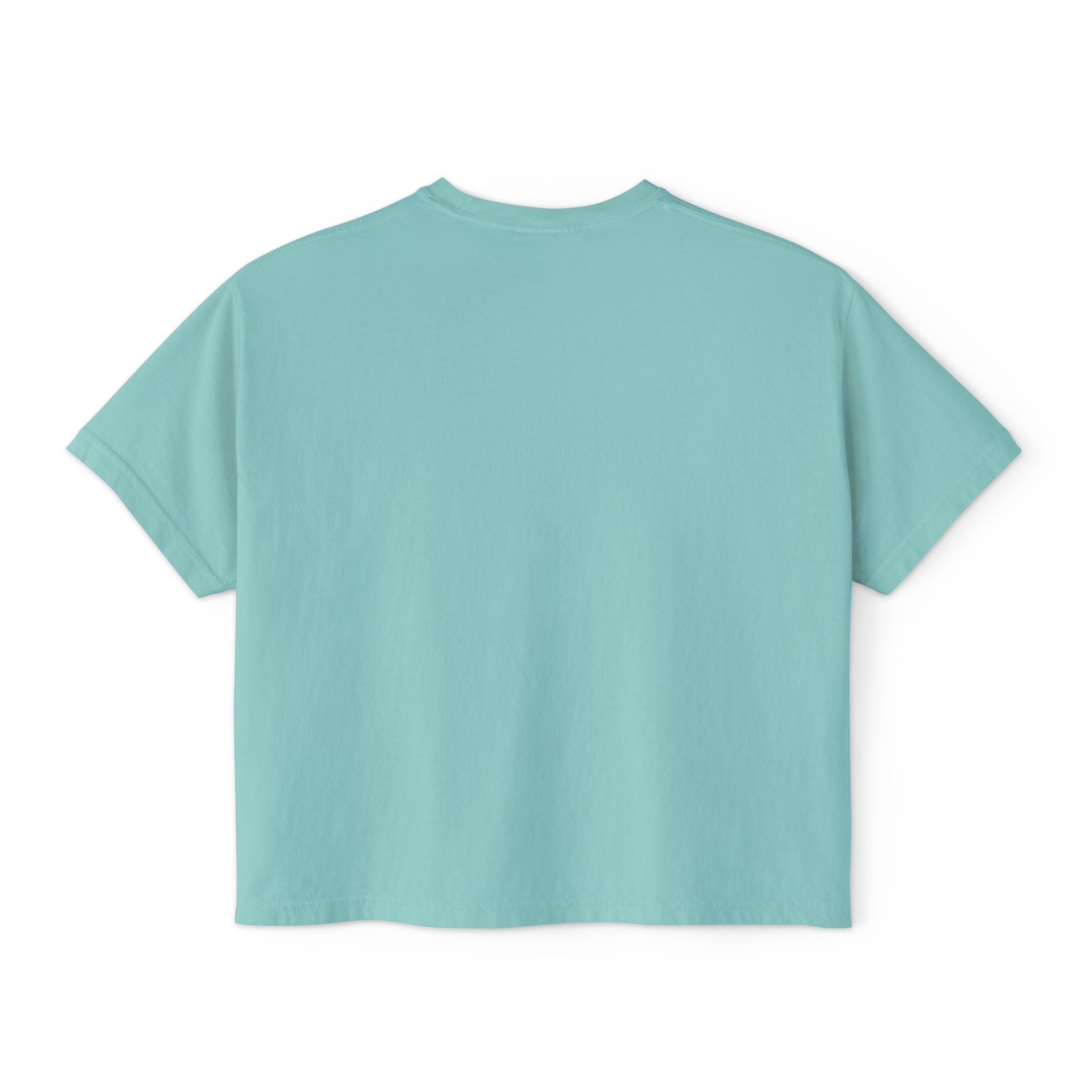 Kawaii Hedgehog Boxy Tee - Women's Graphic T-Shirt