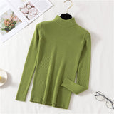 Winter Women Solid Knitted Sweater